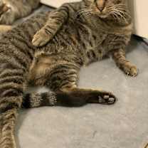 Thumbnail photo of Poppy Lloyd #2