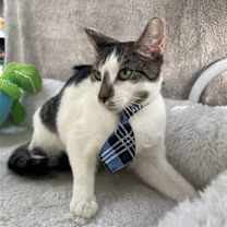 Thumbnail photo of XAVIER #4