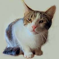 Thumbnail photo of Billie #2