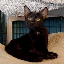 Thumbnail photo of Boo Berry #3