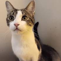 Thumbnail photo of Billie #3