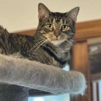 Thumbnail photo of Alex #4