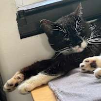 Thumbnail photo of Nonna #2