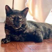 Thumbnail photo of Tina #2