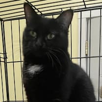 Thumbnail photo of Sis #1