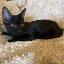 Thumbnail photo of Betty #4