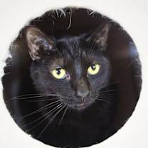 Thumbnail photo of Dakota #4