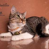 Thumbnail photo of ROSITA BUSTILLOS #1