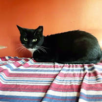 Thumbnail photo of Thalia #2