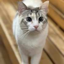 Thumbnail photo of UTA #2