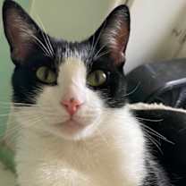 Thumbnail photo of Coco Leche #2