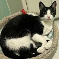 Thumbnail photo of Coco Leche #4