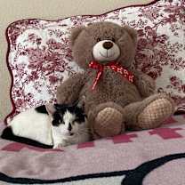 Thumbnail photo of BoPeep #2