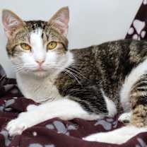 Thumbnail photo of Maynard #2