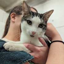 Thumbnail photo of Alex #3