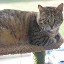 Thumbnail photo of Rupert #1