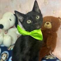 Thumbnail photo of GIOVANNI #3