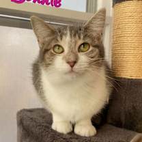 Thumbnail photo of Bonnie #1