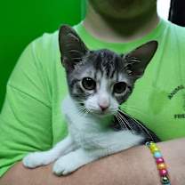 Thumbnail photo of Rice #2