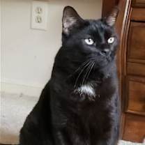 Thumbnail photo of Julian #1