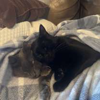 Thumbnail photo of Reecee #2