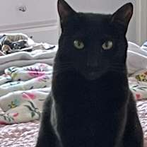 Thumbnail photo of Spike #2