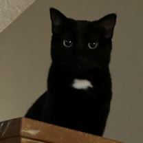 Thumbnail photo of Sabrina #1