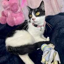 Thumbnail photo of Mckenzie #2