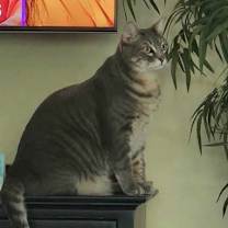 Thumbnail photo of Soul Man #3