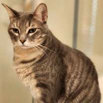 Thumbnail photo of Soul Man #4