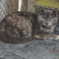 Thumbnail photo of Teresa #1