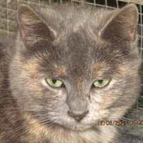 Thumbnail photo of Teresa #2