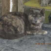 Thumbnail photo of Teresa #3