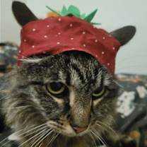 Thumbnail photo of Molly #1