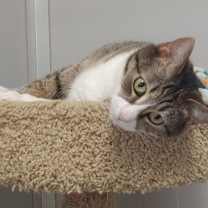 Thumbnail photo of Hannah (sponsored) #2