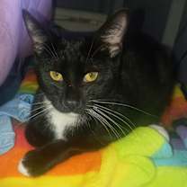 Thumbnail photo of Fernando( Alejandro adopted) #3