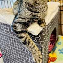 Thumbnail photo of Skippy #2