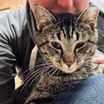 Thumbnail photo of Skippy #3