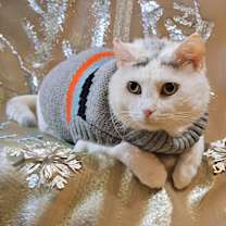 Thumbnail photo of Gretel #1