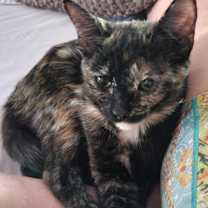 Thumbnail photo of Jette #1