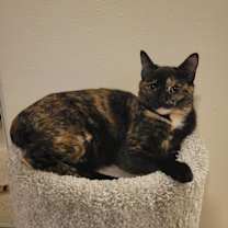 Thumbnail photo of Jette #2