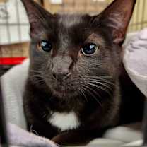 Thumbnail photo of Sabrina #2