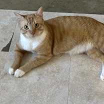 Thumbnail photo of Mikey 6359 #1