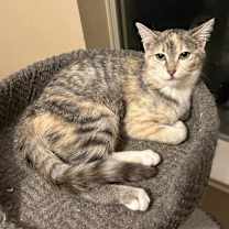 Thumbnail photo of Madgery #3