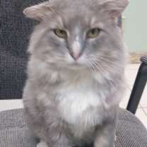 Thumbnail photo of Marty #4