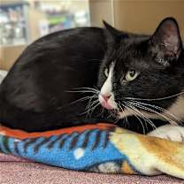 Thumbnail photo of S'more #2