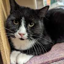 Thumbnail photo of S'more #3