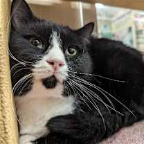 Thumbnail photo of S'more #4