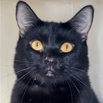 Thumbnail photo of Tahalla - Center #3