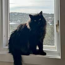 Thumbnail photo of Leela #3